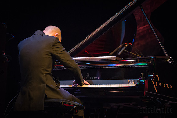 TORD GUSTAVSEN | SIMIN TANDER