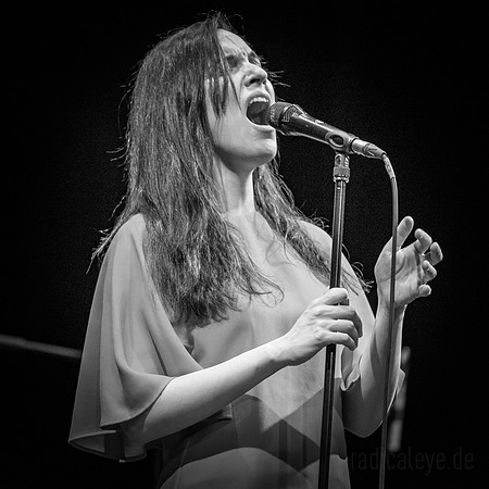 TORD GUSTAVSEN | SIMIN TANDER