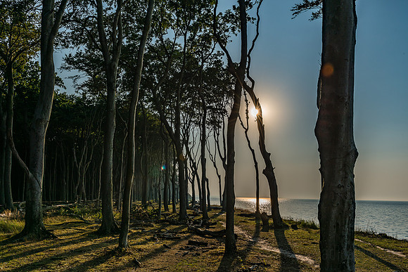 Ostsee | Gespensterwald Nienhagen