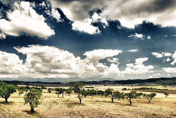Mallorca | Spanien