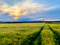 Leipziger Land