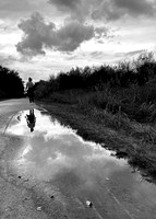 WUSTROW | Darß